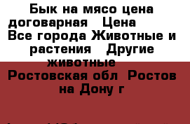 Бык на мясо цена договарная › Цена ­ 300 - Все города Животные и растения » Другие животные   . Ростовская обл.,Ростов-на-Дону г.